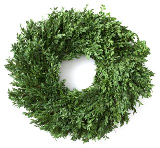 Boxwood Wreath - Preserved - Knud Nielsen Company