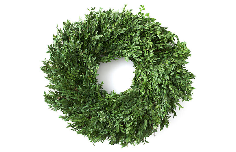 Boxwood Wreath - Preserved - Knud Nielsen Company