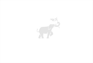 Product_MNB01715_Image_1