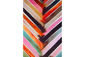 Lourdes Sanchez, Chevron Bleed