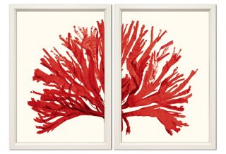 Miranda Baker, Corals, Red Diptych