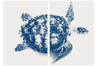 Stuart Redler, Blue Turtle, diptych