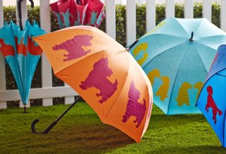 San Francisco Umbrellas